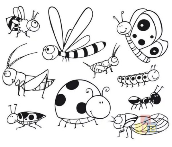 Рисование насекомые
