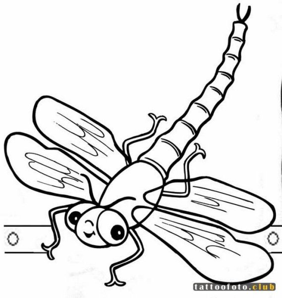 Насекомые. Раскраска