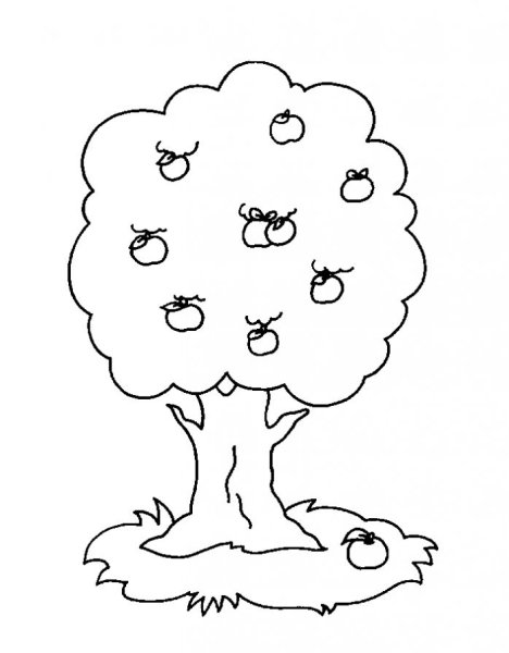 Схематичное изображение яблони