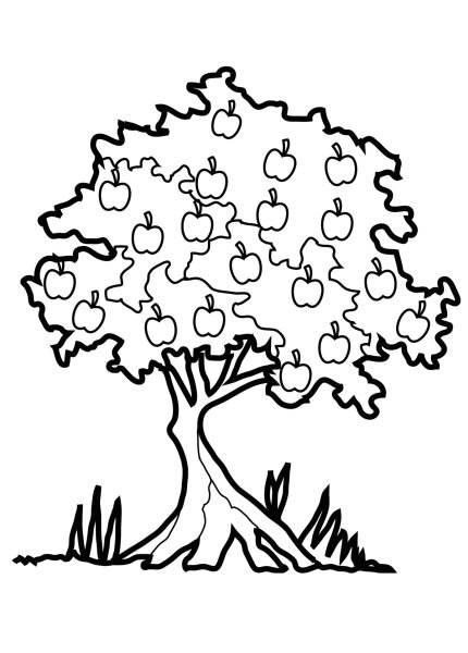 Яблоня для раскрашивания