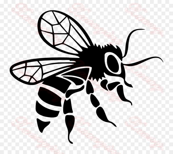 Пчела схематично