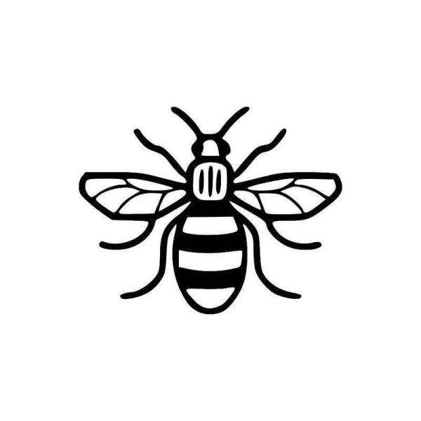 Пчела черно белая