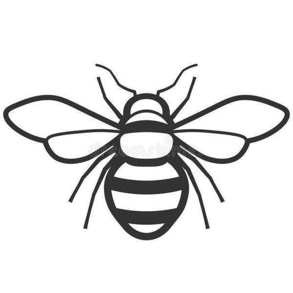 Оса черно белая