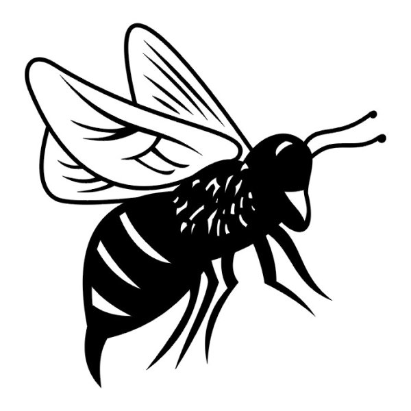 Крылья пчелы