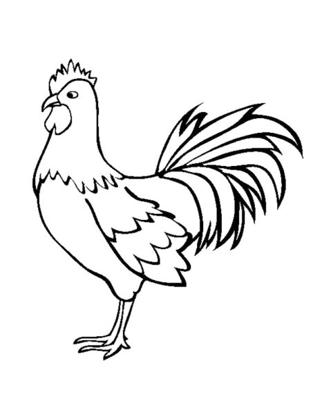 Трафарет петушка для раскрашивания
