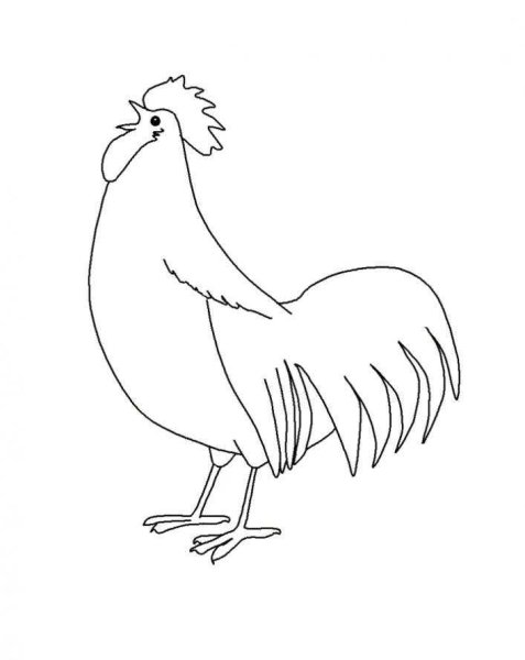 Петух контур черно белый