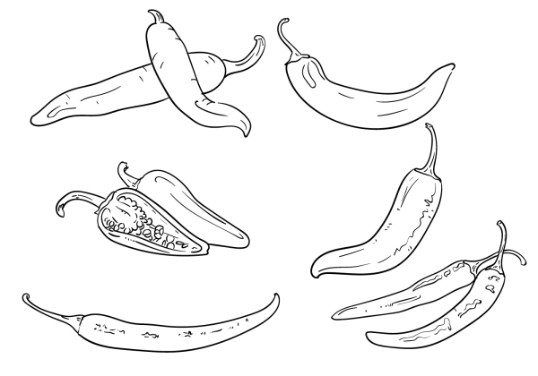 Перец Чили вектор