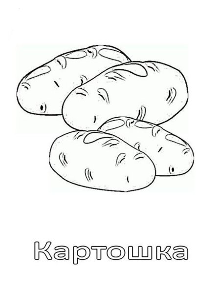 Картофель раскраска для детей