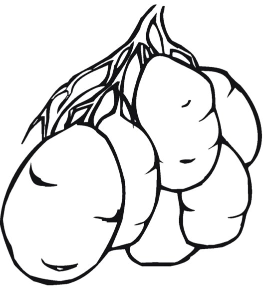 Картошка раскраска