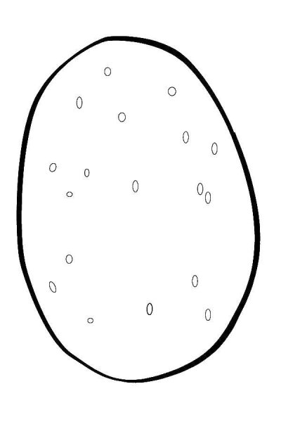 Картошка раскраска