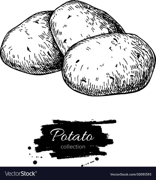 Картошка карандашом