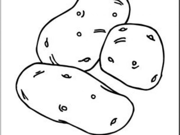 Картофель трафарет