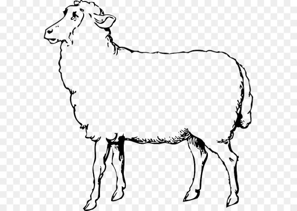 Овечка раскраска для детей