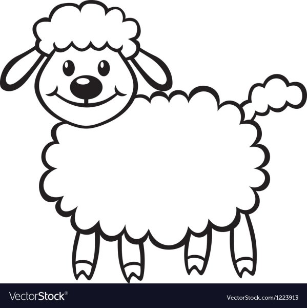 Овца контур