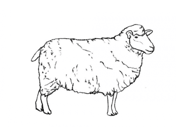Овечка шаблон для аппликации