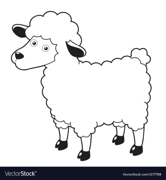 Раскраска барашек для детей 3-4 лет