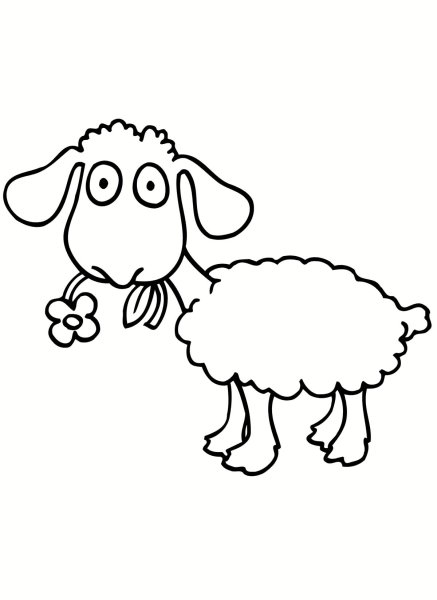 Овца раскраска