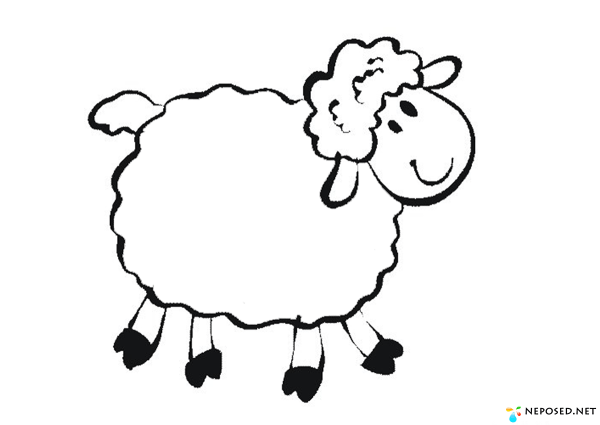 Овечка на прозрачном фоне