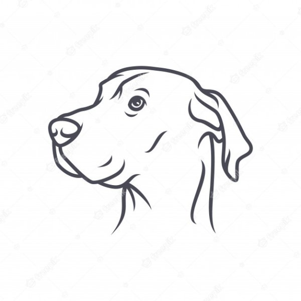 Лабрадор ретривер вектор