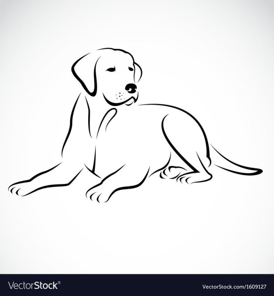 Графическое изображение собаки