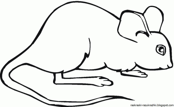 Мышка раскраска