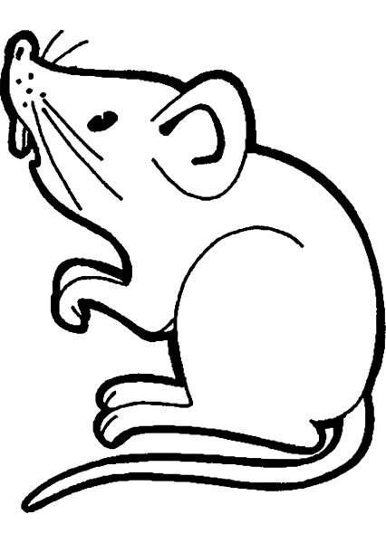 Мышка полевка раскраска