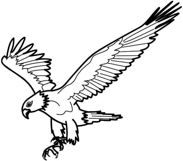 Орел раскраска