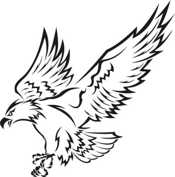 Орел контур