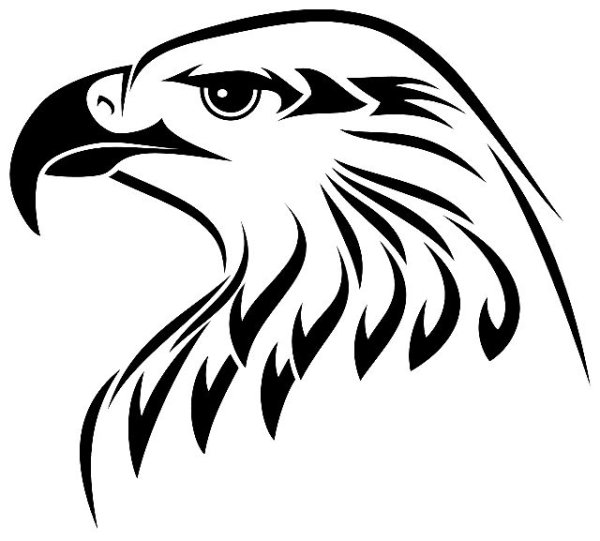 Орел карандашом