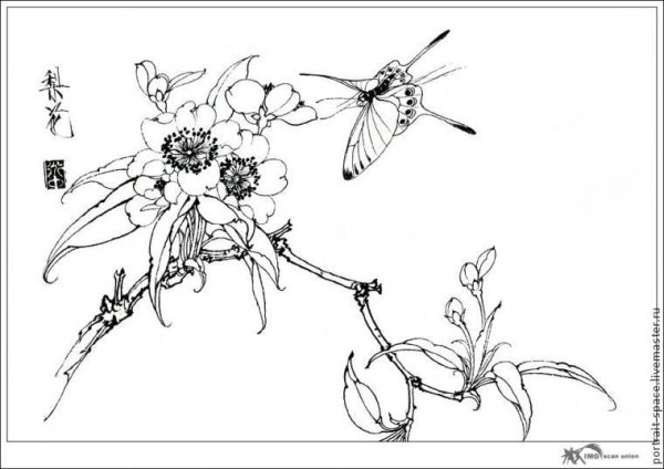 Зарисовки веток, цветов