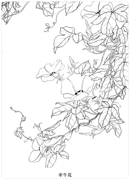 Контуры для гунби Вьюнок