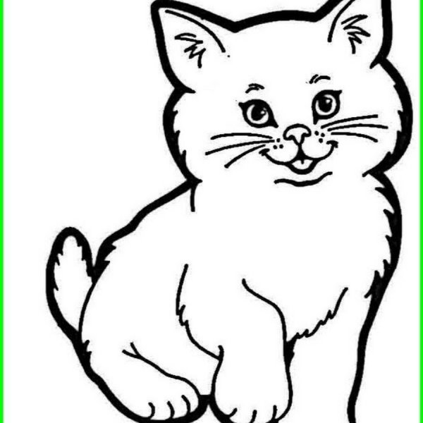Раскраски коты