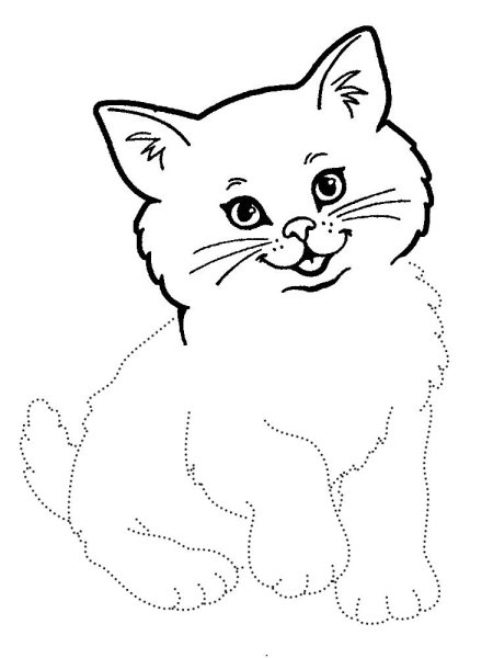 Контурное изображение кошки