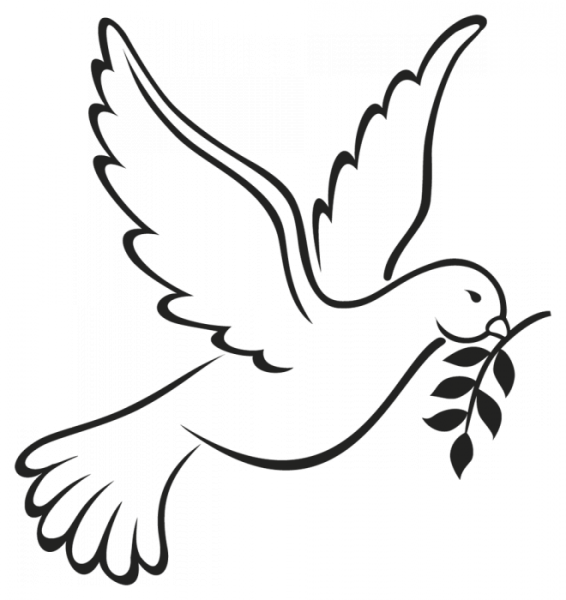 Голубь с веточкой
