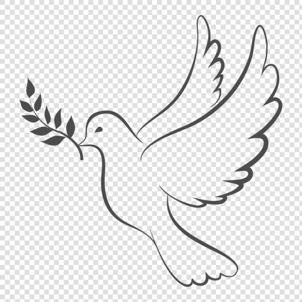 Контурные голуби