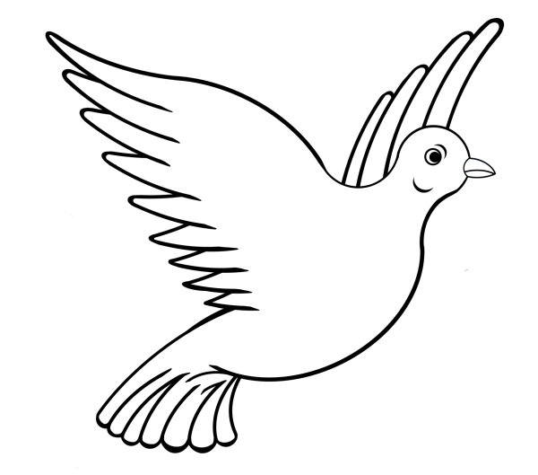 Голубь раскраска маленький