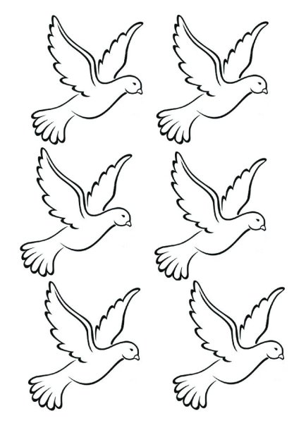 Голубь контур