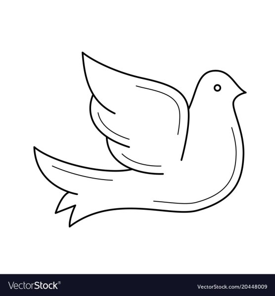 Голубь с веточкой контур