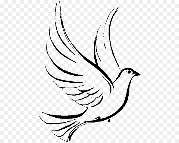 Голубь для раскрашивания