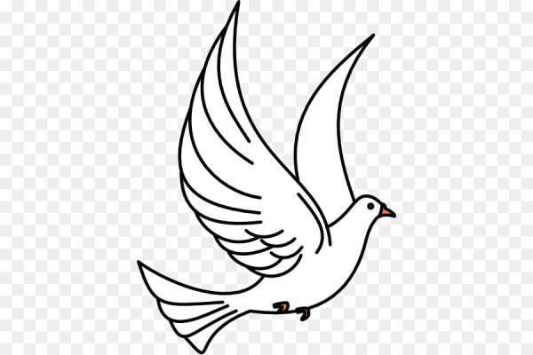 Трафарет голубя