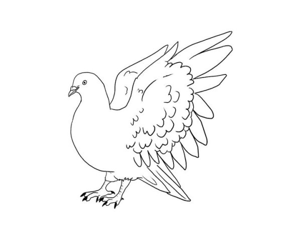 Птицы на 9 мая