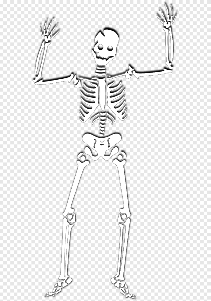 Скелет для срисовки