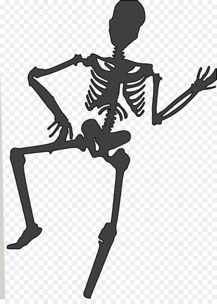 Скелет контур для детей