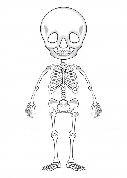Скелет раскраска для детей