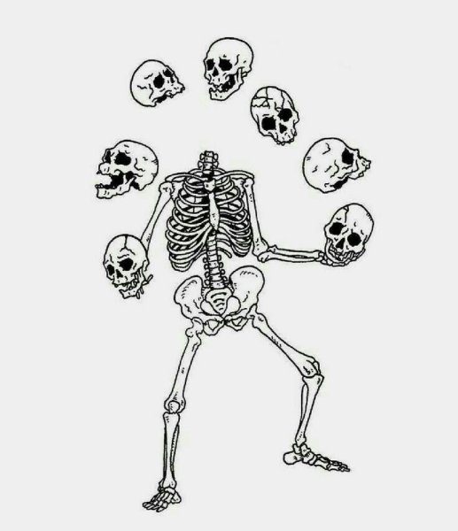 Векторный скелет