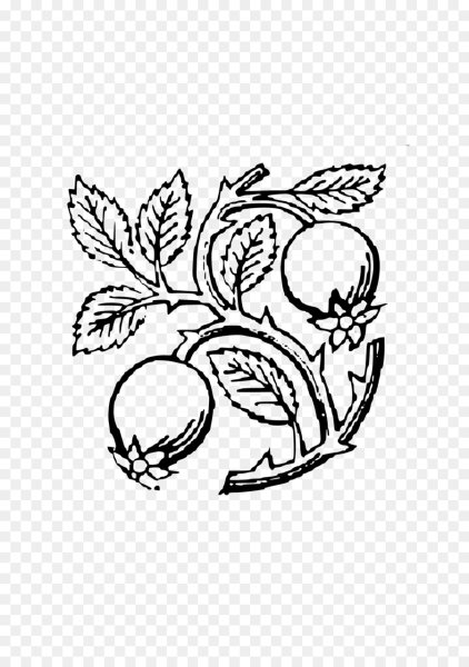 Шиповник раскраска для детей