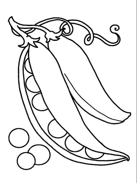 Кукуруза вектор