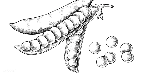 Горох для раскрашивания