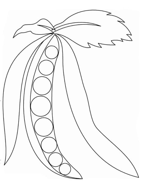 Горох раскраска