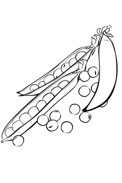 Раскраска горошек